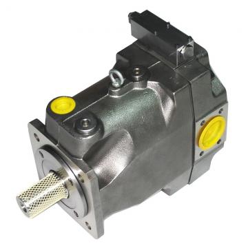 PAKER YB-E160 Piston Pump