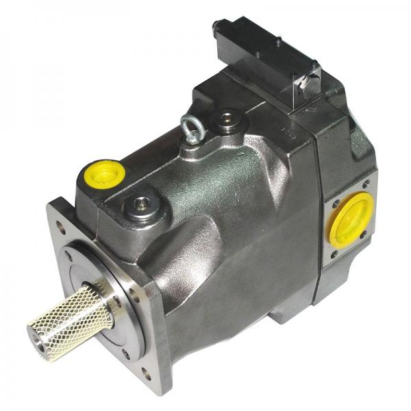 PAKER YB1-63 Piston Pump #2 image