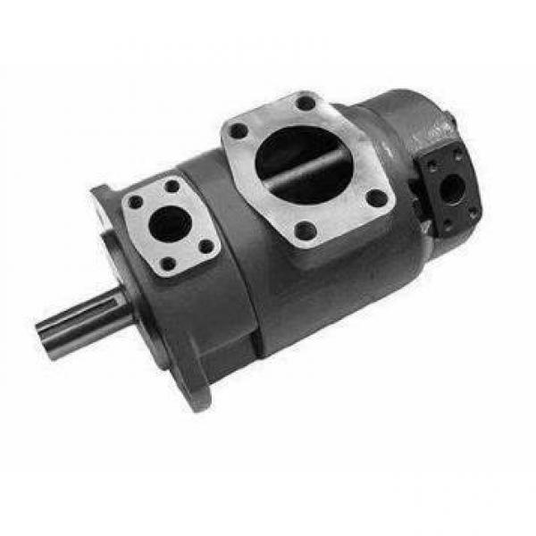 Yuken PV2R13-17-116-F-RAAA-41 Double Vane pump #1 image