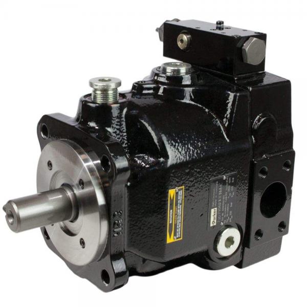 PAKER PAV10 Piston Pump #1 image