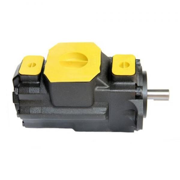 Yuken PV2R13-17-116-F-RAAA-41 Double Vane pump #2 image